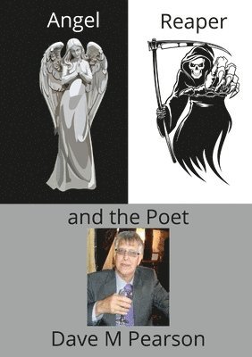 bokomslag Angel Reaper and the Poet