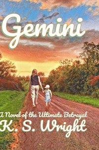 bokomslag Gemini