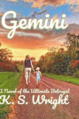 bokomslag Gemini