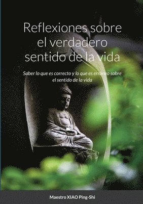 bokomslag Reflexiones sobre el verdadero sentido de la vida