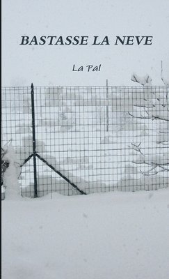 bokomslag Bastasse La Neve