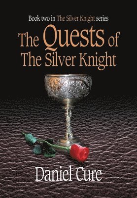 bokomslag Quests of the Silver Knight