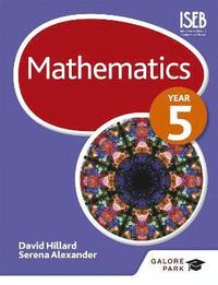 bokomslag Mathematics Year 5