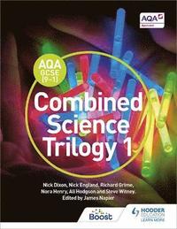 bokomslag AQA GCSE (9-1) Combined Science Trilogy Student Book 1