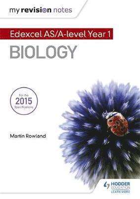 bokomslag My Revision Notes: Edexcel AS Biology B