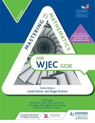 bokomslag Mastering Mathematics for WJEC GCSE: Higher