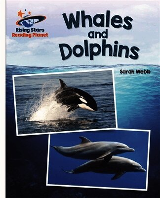 Sarah Webb - Reading Planet - Whales and Dolphins - White: Galaxy, Häftad