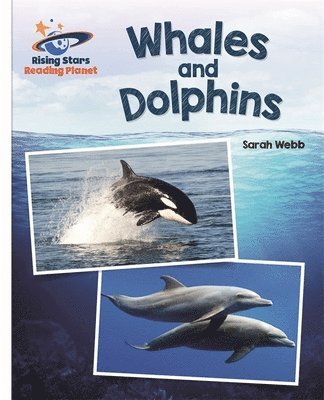 Reading Planet - Whales and Dolphins - White: Galaxy 1