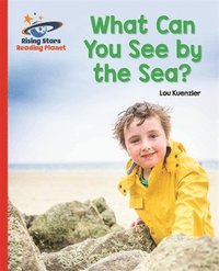 bokomslag Reading Planet - What Can You See by the Sea? - Red B: Galaxy