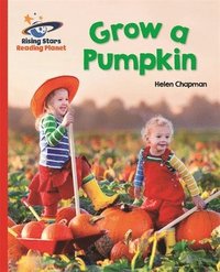 bokomslag Reading Planet - Grow a Pumpkin - Red B: Galaxy