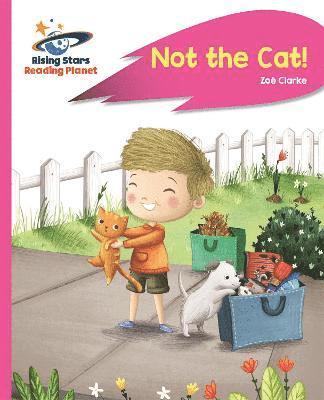 bokomslag Reading Planet - Not the Cat! - Pink A: Rocket Phonics