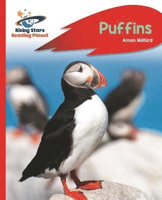 bokomslag Reading Planet - Puffins - Red A: Rocket Phonics