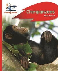 bokomslag Reading Planet - Chimpanzees - Red B: Rocket Phonics