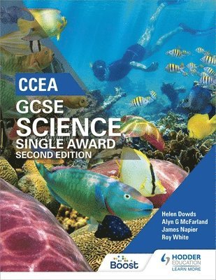 bokomslag CCEA GCSE Single Award Science 2nd Edition