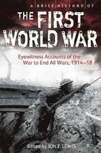bokomslag A Brief History of the First World War