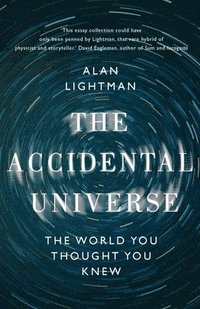 bokomslag The Accidental Universe