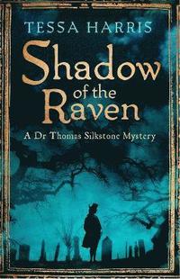 bokomslag Shadow of the Raven