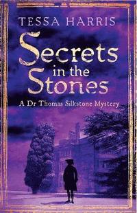 bokomslag Secrets in the Stones