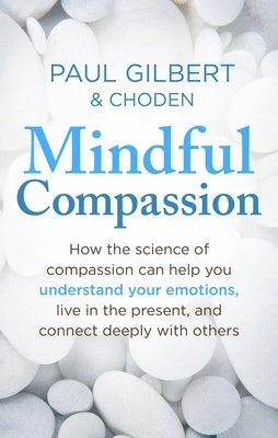 bokomslag Mindful Compassion