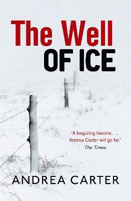 The Well of Ice 1