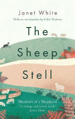 The Sheep Stell 1