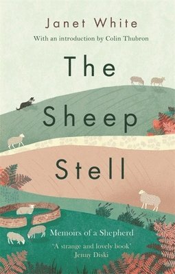 The Sheep Stell 1