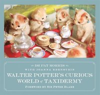 bokomslag Walter Potter's Curious World of Taxidermy