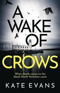 bokomslag Wake of Crows