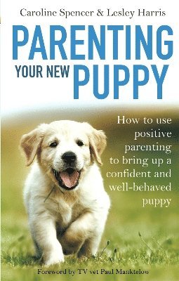 Parenting Your New Puppy 1