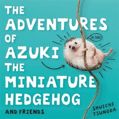 bokomslag The Adventures of Azuki the Miniature Hedgehog and Friends