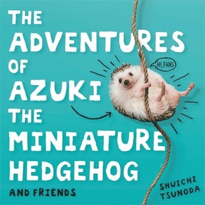 Shuichi Tsunoda - Adventures of Azuki the Miniature Hedgehog and Friends, Inbunden