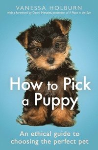 bokomslag How To Pick a Puppy