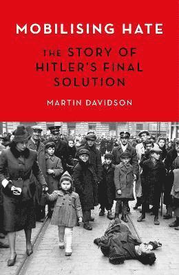Martin Davidson - Mobilising Hate, Inbunden