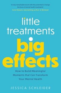 bokomslag Little Treatments, Big Effects