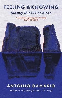 Antonio Damasio - Feeling and Knowing, Häftad