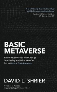 bokomslag Basic Metaverse