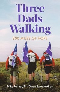 bokomslag Three Dads Walking