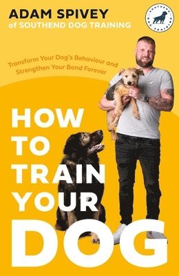 How to Train Your Dog 1