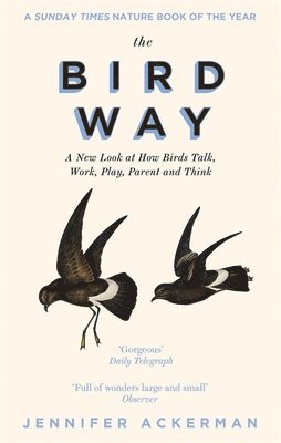 Bird Way
