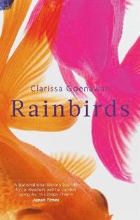 bokomslag Rainbirds