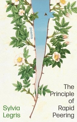 Sylvia Legris - Principle of Rapid Peering, Häftad