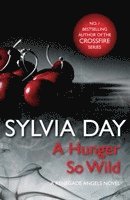 bokomslag Hunger So Wild (A Renegade Angels Novel)