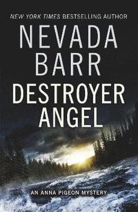 bokomslag Destroyer Angel (Anna Pigeon Mysteries, Book 18)