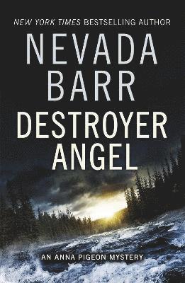 Destroyer Angel (Anna Pigeon Mysteries, Book 18) 1