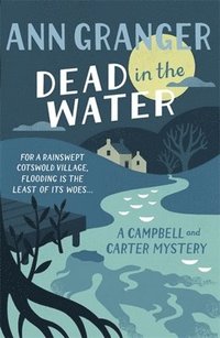 bokomslag Dead In The Water (Campbell & Carter Mystery 4)