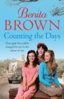 Benita Brown - Counting the Days, Häftad