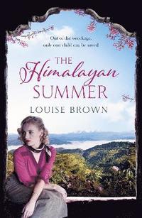 bokomslag The Himalayan Summer