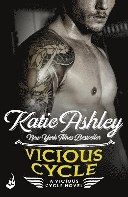 Vicious Cycle: Vicious Cycle 1