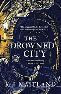 bokomslag The Drowned City
