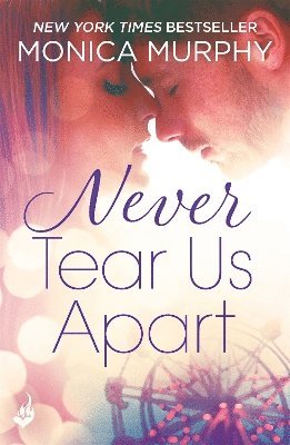 bokomslag Never Tear Us Apart: Never Series 1